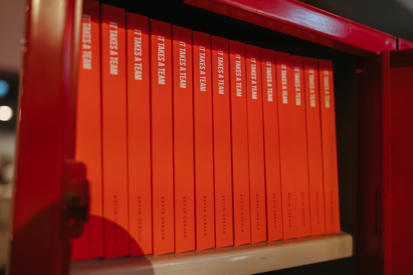 "It Takes a Team" book