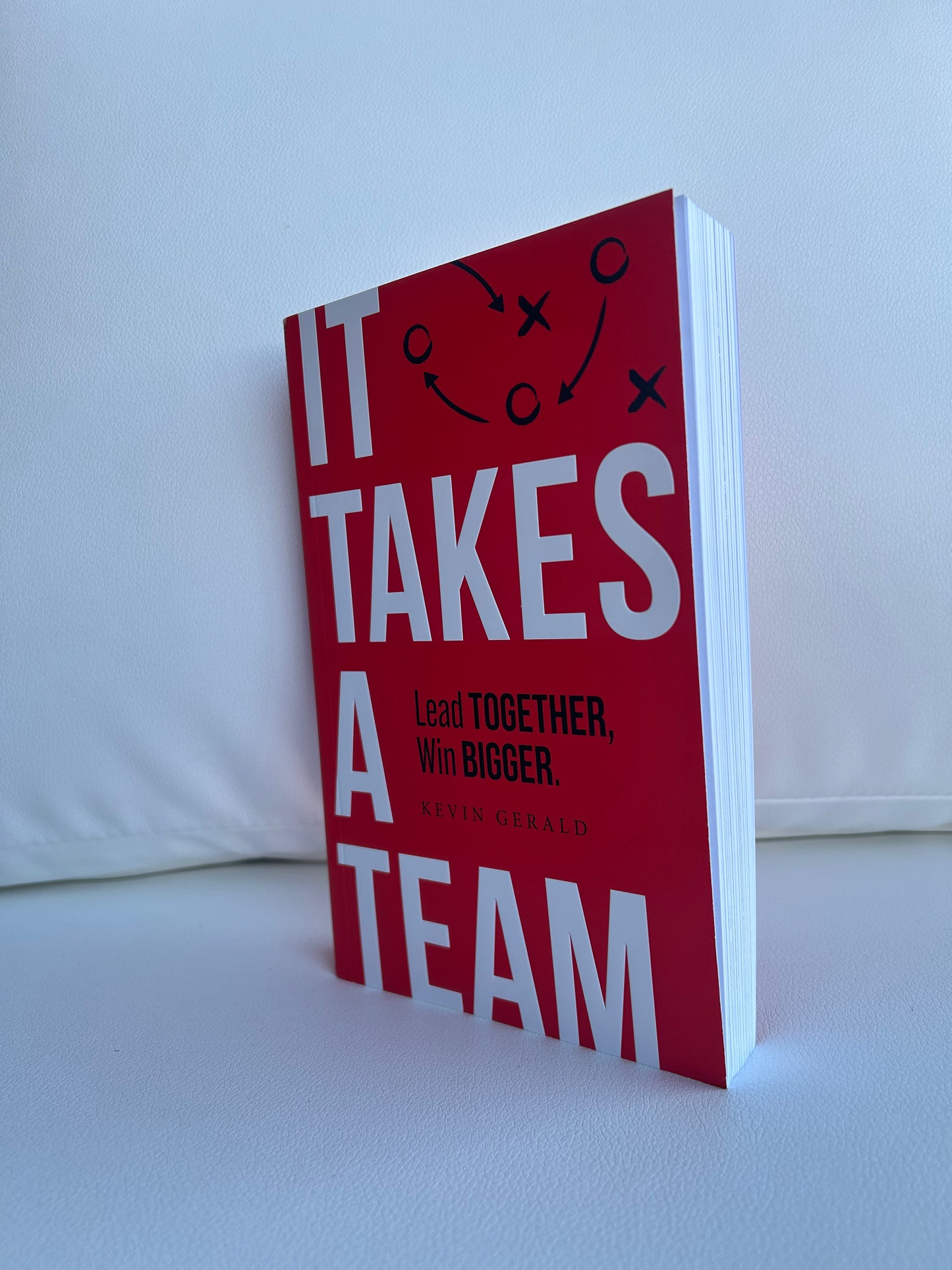 "It Takes a Team" book